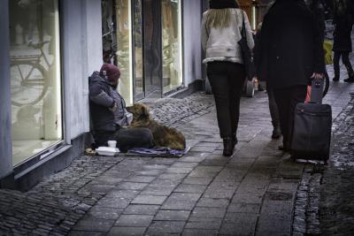 Hjemløs på Strøget med sin hund